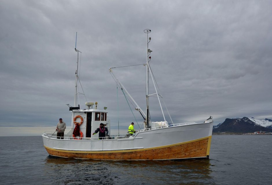 Svolvär: Fishing Trip on the Lofoten Sea - Key Points