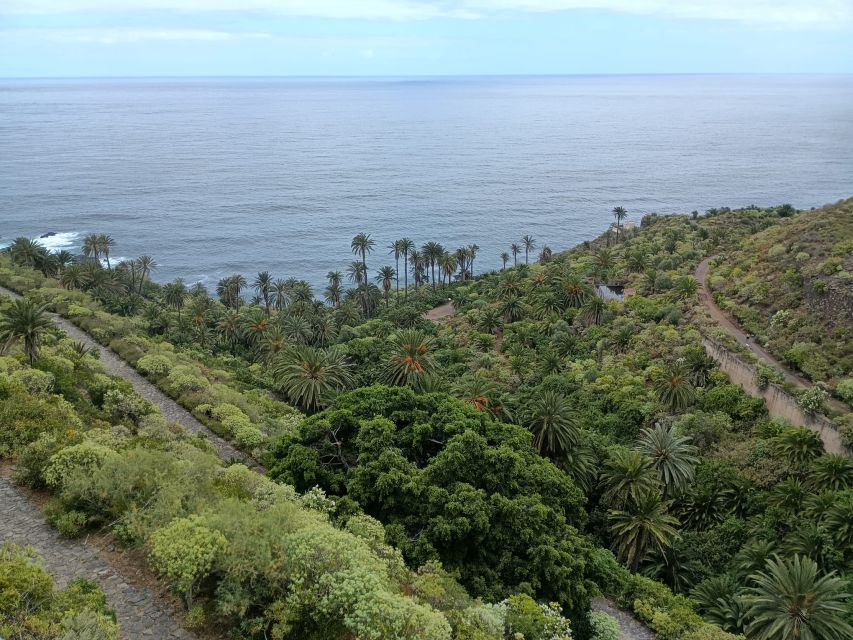 Tenerife: North Coast Landscapes Private Day Tour - Key Points