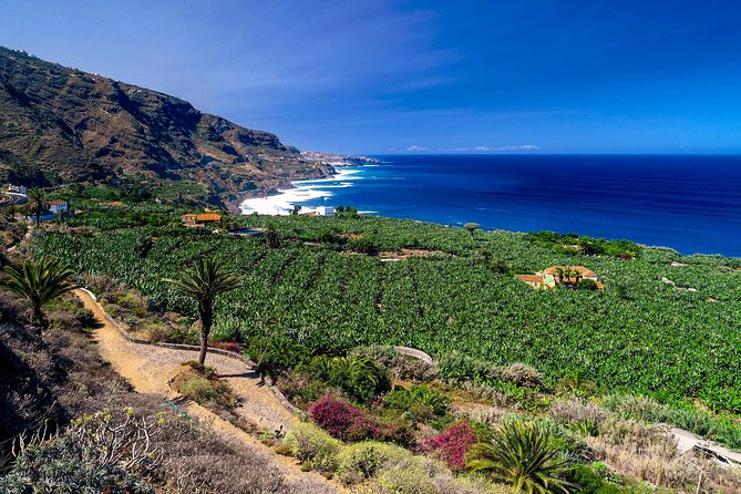 Tenerife North Private Tour: Through Villages and Ports - Key Points