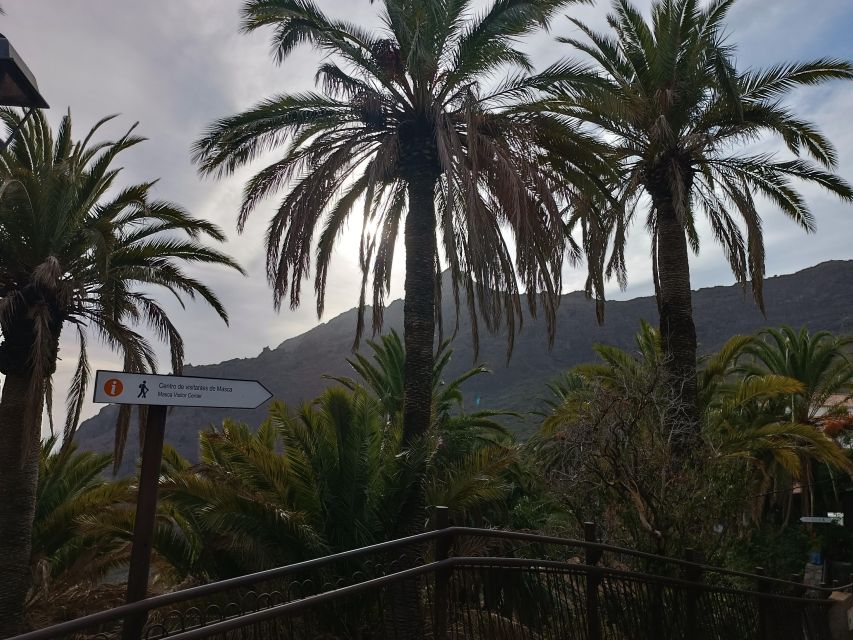 Tenerife: Teide, Masca, Garachico, and Sunset Exclusive Tour - Key Points