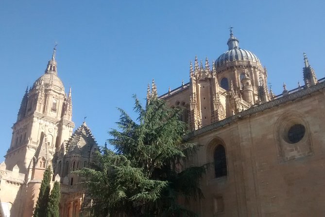 The Best of Salamanca (English) - Meeting Point and Pickup