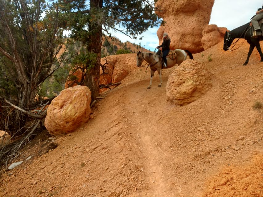 Thunder Mountain Trail: Scenic Horseback Ride - Key Points