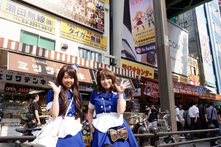 Tokyo: Akihabara 2 Hour Guided Walking Tour Booking Information