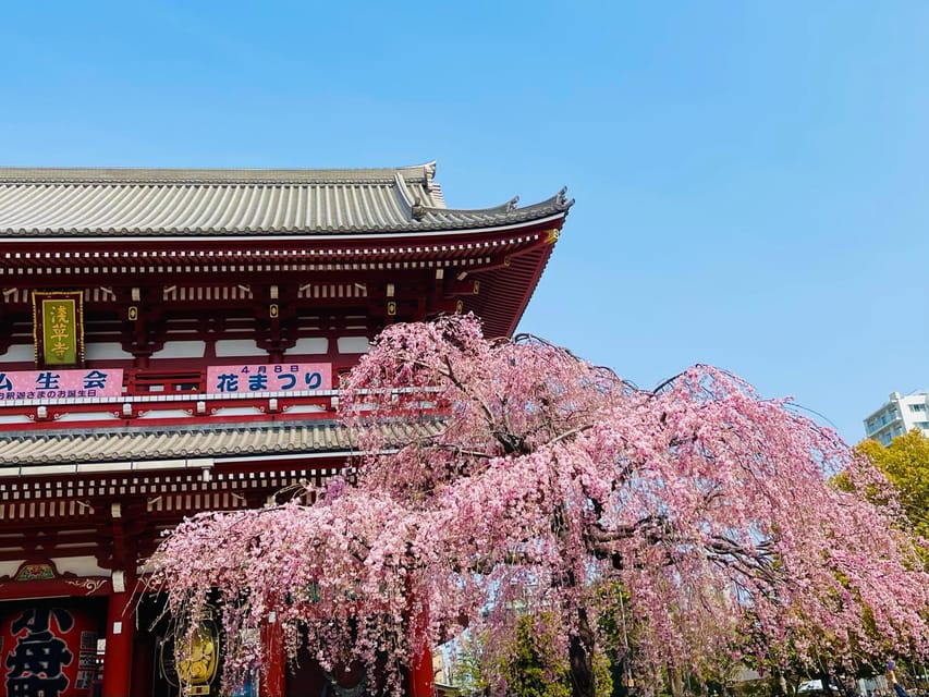 Tokyo: Asakusa Senso-ji Temple Tour Review - Key Points