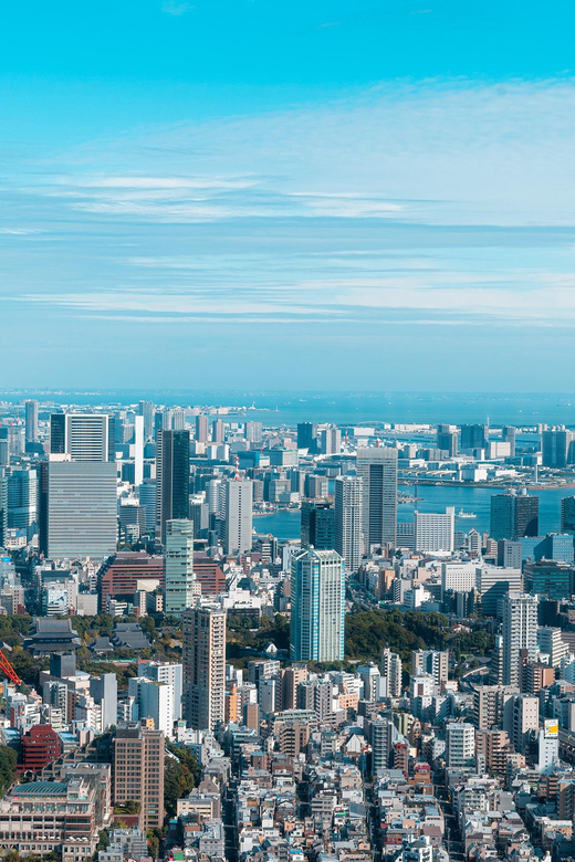 Tokyo Full-Day Trip With Daily Chauffeur - Key Points