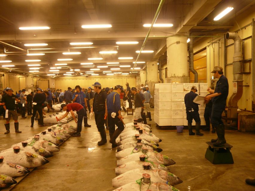 Tokyo: Guided Walking Tour of Tsukiji Market With Lunch - Key Points