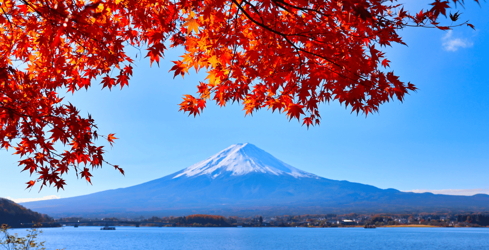 Tokyo: Mount Fuji and Lake Kawaguchi Scenic 1-Day Bus Tour - Meeting Points and Times