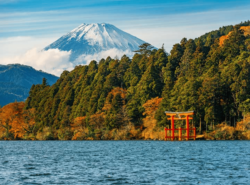 Tokyo: Mt. Fuji & Hakone Tour With English Speaking Driver. - Itinerary Highlights