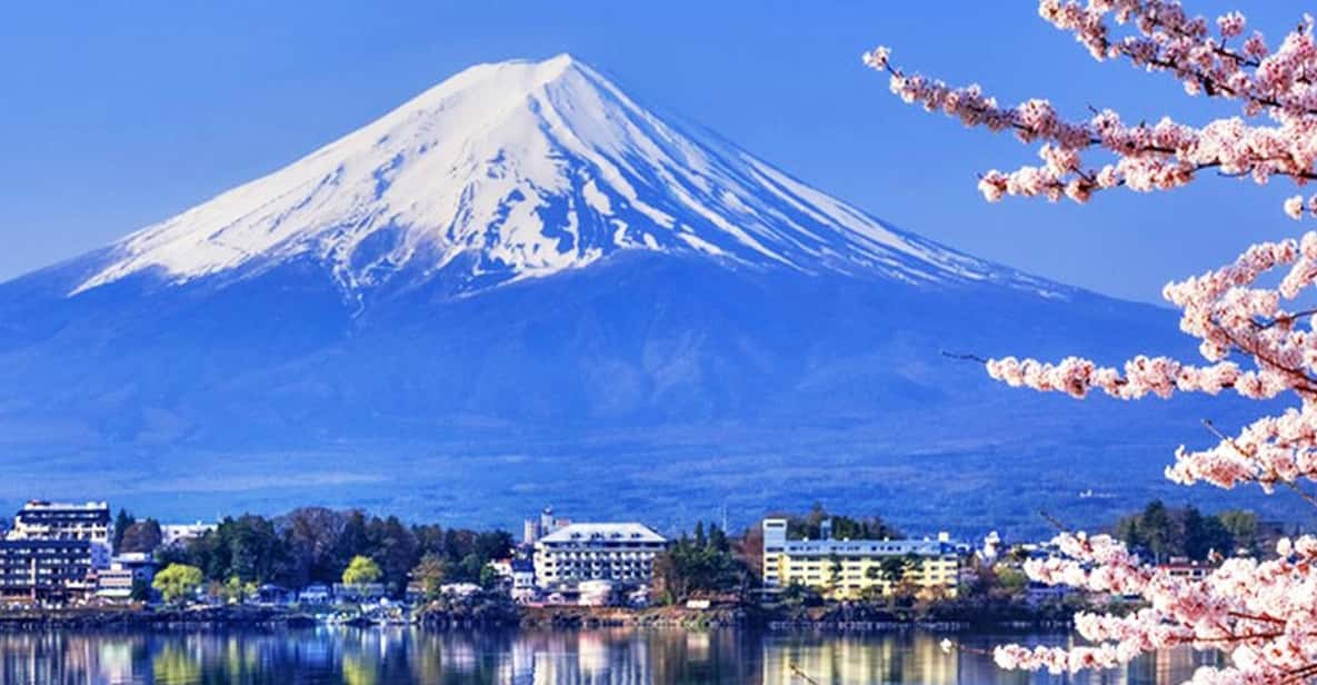 Tokyo: Mt.Fuji Kawaguchiko, Oshino Hakkai,Matcha-Making Tour - Key Points