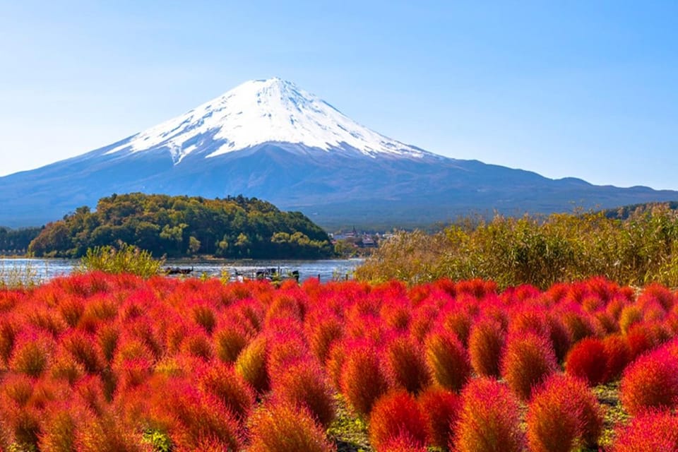 Tokyo: Mt Fuji Trip With Kawaguchiko Ropeway and Matcha Tea - Key Points