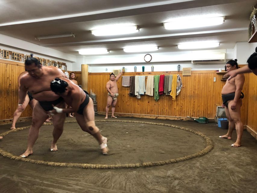 Tokyo Real Sumo Morning Practice Tour Review - Key Points