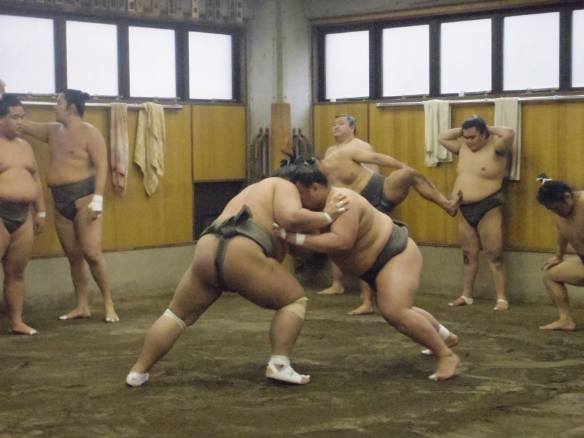 Tokyo: Sumo Morning Practice Viewing Tour - Key Points