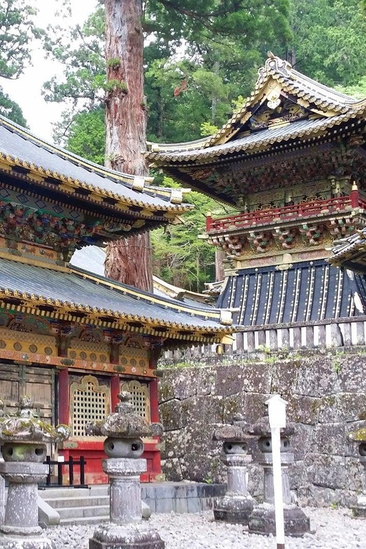 Tokyo to Nikko: Private Day Trip to Nikko and Lake Chuzenji - Key Points