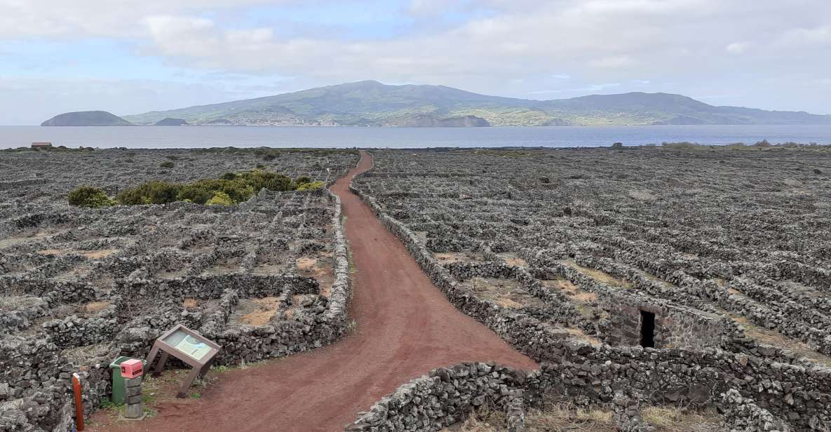 Tours on Pico Island - Cultural and Natural Landscape - Key Points