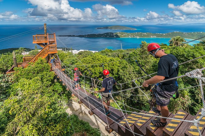 Tree Limin Extreme Zipline - Key Points