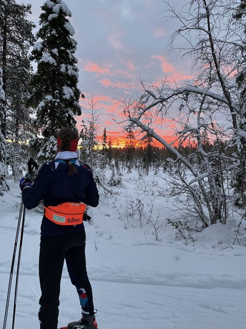 Tromsø: Cross Country Course With a Guide and Views - Key Points