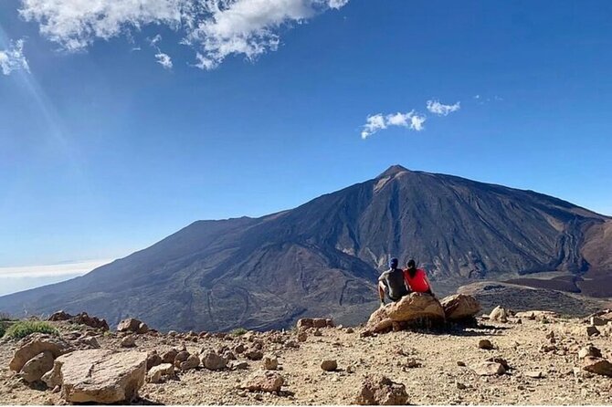 VOLCANO TEIDE NATIONAL PARK Half-Day in a Small Group by Bus - Tour Overview