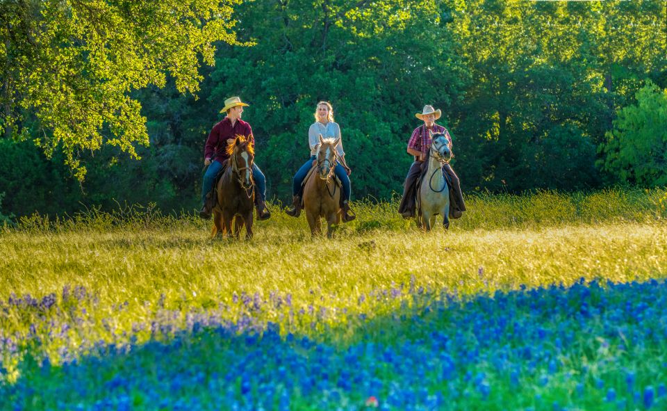 Waco: Horseback Riding Tour With Cowboy Guide - Key Points