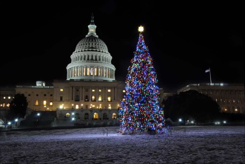 Washington, DC: Holiday Lights Nighttime Bus Tour - Key Points