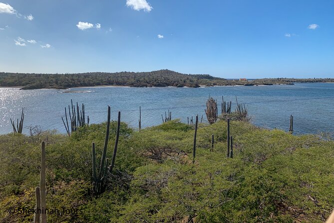 Washington Park Tour With Local Guide on Bonaire - Overview of the Tour