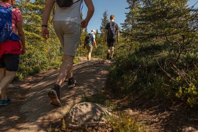 Wildlife Forest Hike - Key Points