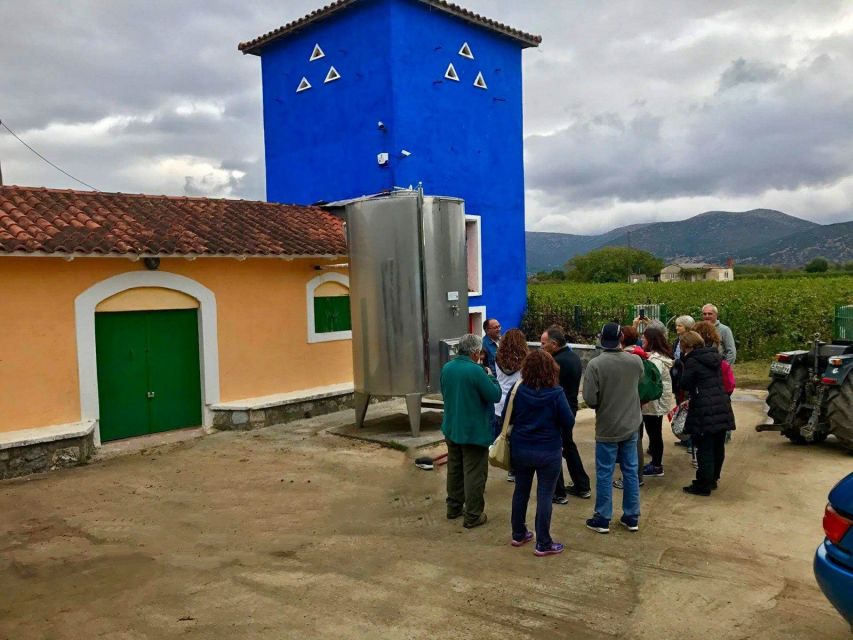 Wine Tour & Tasting in an Organic Winery in Arcadia, Greece - Key Points