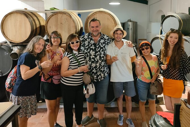 Wine Tourism Half Day Tour - Key Points