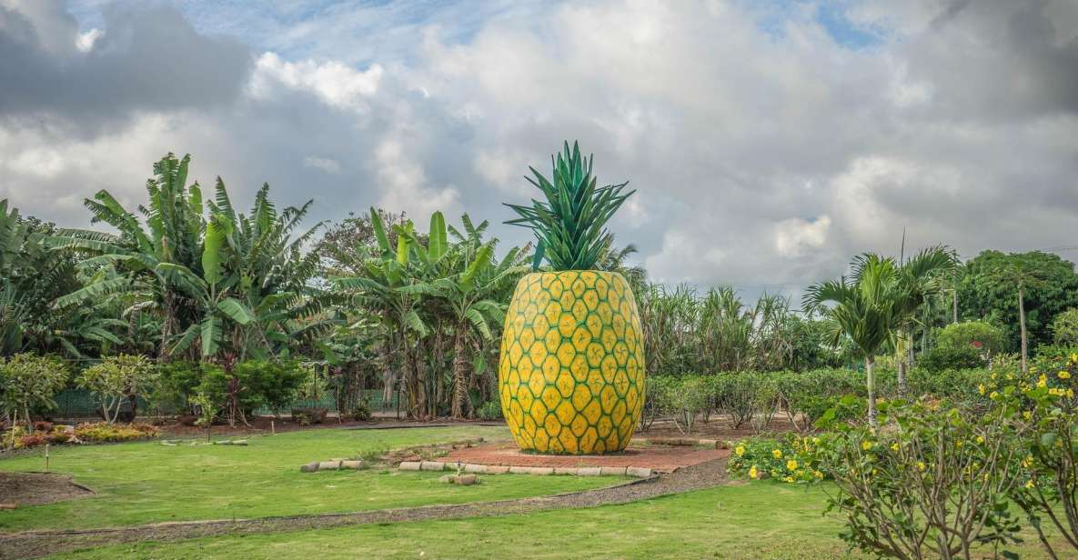 World Famous Dole Plantation & North Shore Island Tour! - Key Points