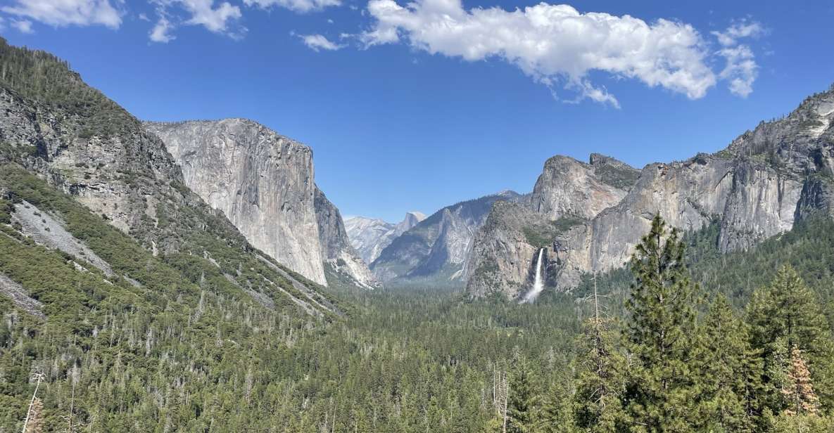 Yosemite, Giant Sequoias, Private Tour From San Francisco - Key Points