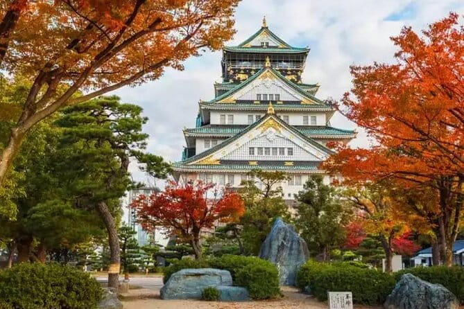 1 Day Osaka Private Tour With English Speaking Guide - Guide and Accessibility