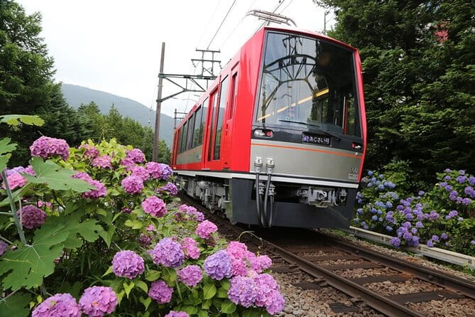 1 Day Private Tour in Hakone With Hakone Freepass & Train Ticket
