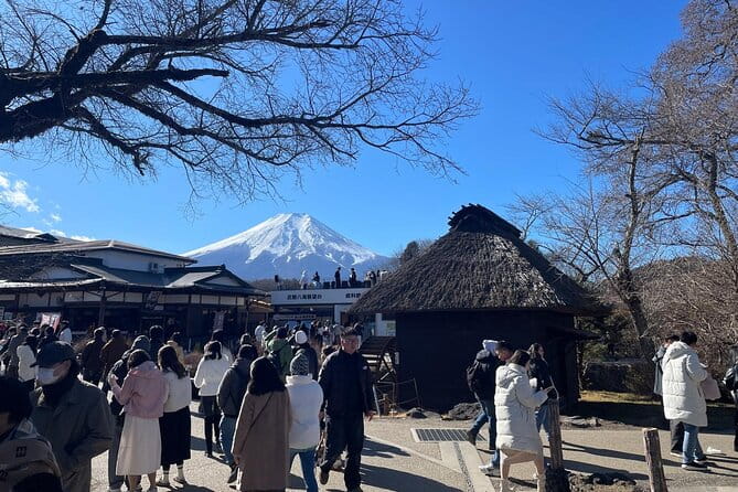 2-Day Tokyo-Mt. Fuji Hakone Odawara Castle Kamakura, Onsen Ryokan