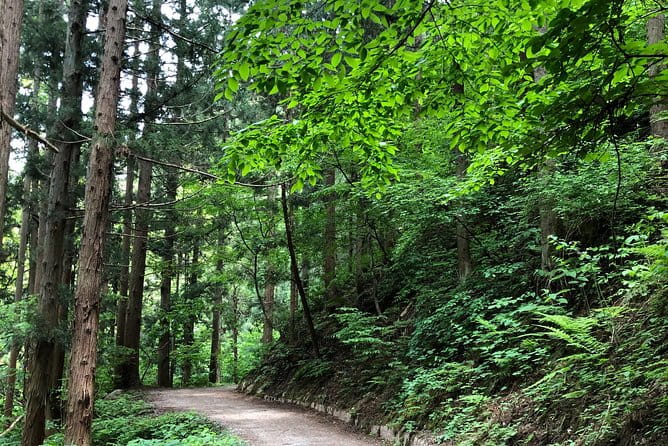 3-Day Private Tokyo and Nagano: Snow Monkeys, Tsukiji Market and Bullet Train