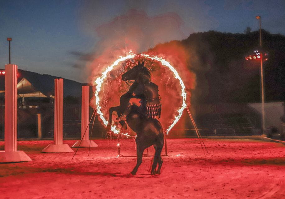 Alicante: Villajoyosa Gran Circus Maximus Entry Ticket - Ticket Information and Pricing