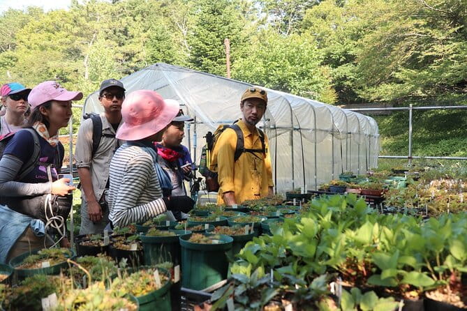 Apoi-Dake Private Hiking With Guided Commentary - Meeting Point and Start Time