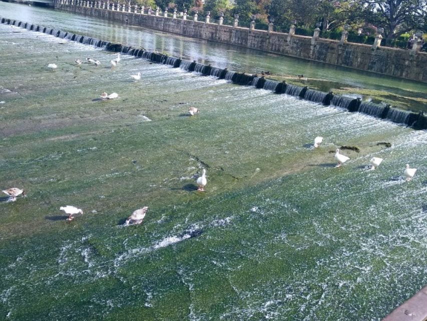 Aranjuez: City and Gardens Guided Walking Tour