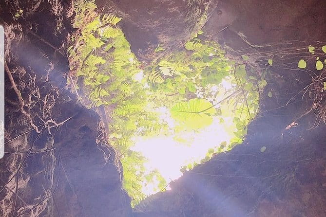 CAVE OKINAWA a Mysterious Limestone CAVE That You Can Easily Enjoy! - Overview of Cave Okinawa