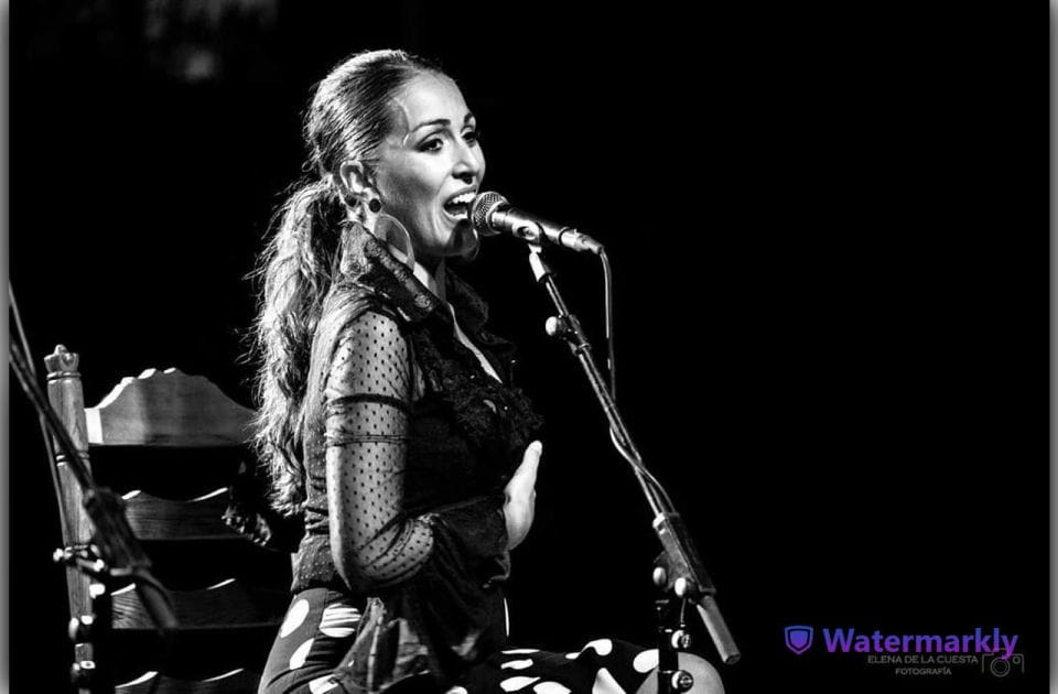 Córdoba: Flamenco Show Ticket With Drinks - Ticket Pricing and Options