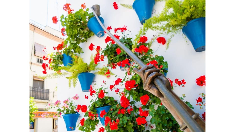 Cordobas Authentic Patios: 2-Hour Tour With Tickets - Tour Overview