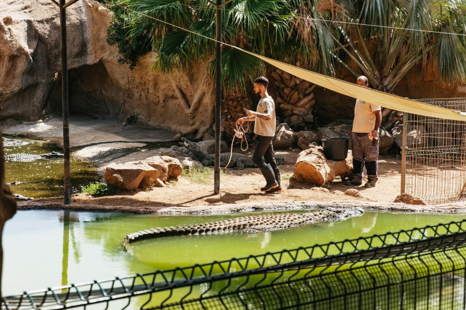 Crocodile Park Zoo Entry Ticket - Ticket Pricing and Options