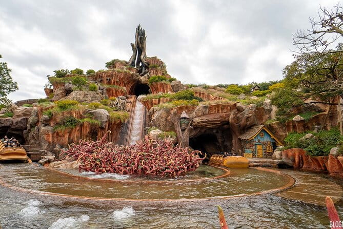 Disneyland Theme Park Tokyo Admission Ticket - Ticket Information