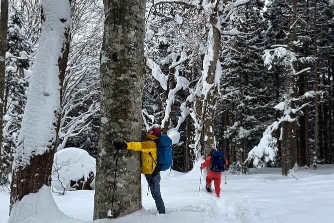 EN/CN Guided Snowshoeing and Snow Monkey Tour in Nagano