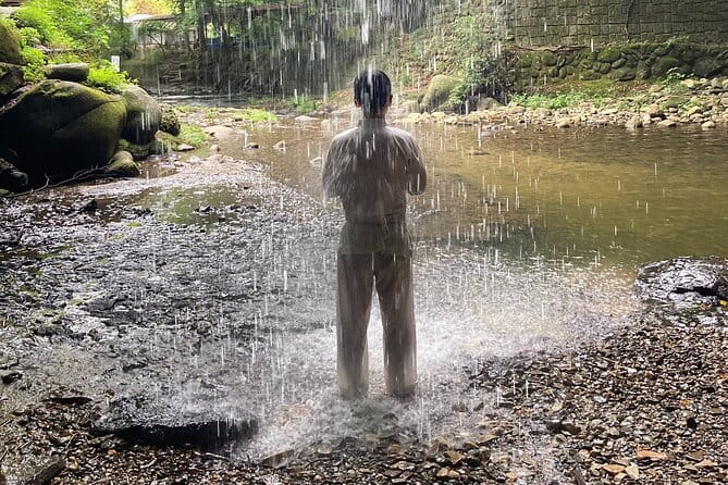 Full-Day Private Adventure in Ibaraki and Fukuroda Waterfalls - Experience and Activities