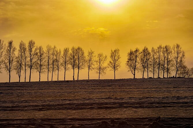 Furano Biei Tour Sapporo DEP: English Speaking Driver, No Guide - Customizable Experience