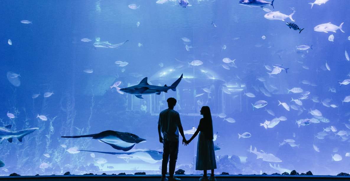 Gran Canaria: Poem of the Sea Skip-the-Line Ticket - Ticket Pricing and Details