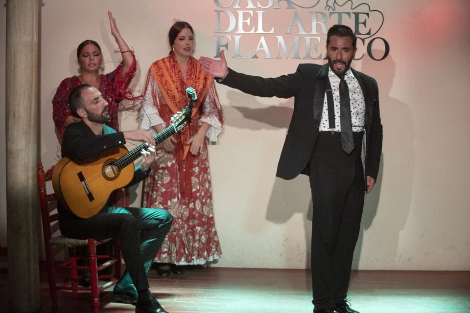Granada: 1-Hour Traditional Flamenco Show - Show Overview