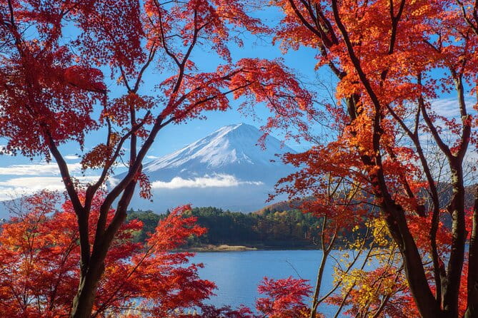 Group 1 Day Tour of Mt. Fuji and Hakone: Onsen, Arts, and Nature