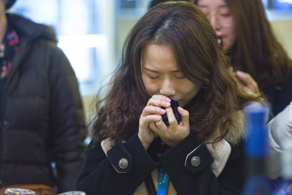 Jaén: Olive Mill Tour and Olive Oil Tasting Experience - Overview of the Tour