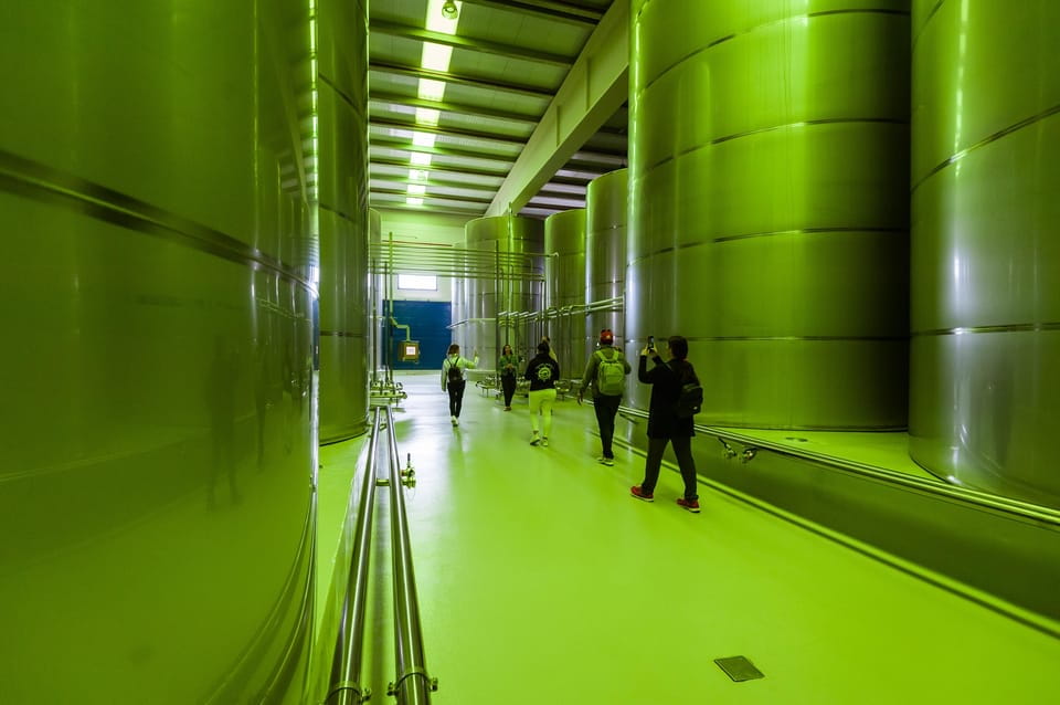 Jaén: Unforgettable Visit to the Olive Mill + EVOO Tasting