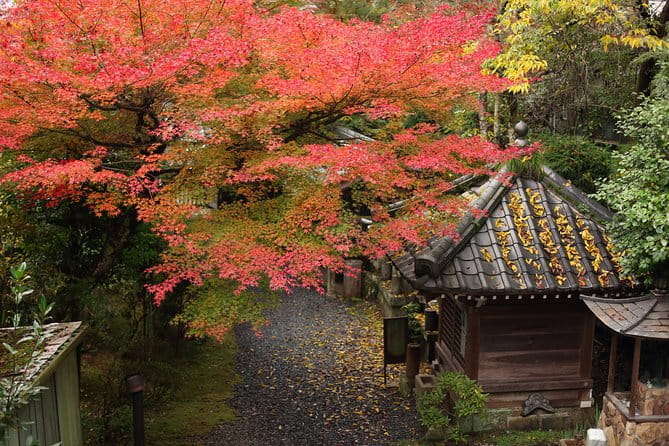 Kimono and Tea Ceremony in Miyajima
